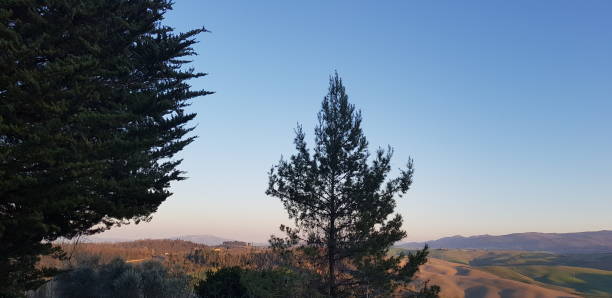 Panorama del capoluogo di Terricciola al tramonto