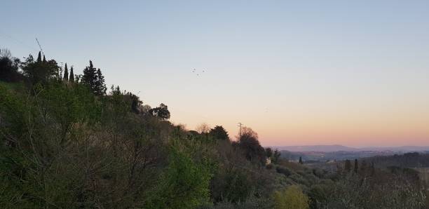 Tramonto sulle colline di Terricciola