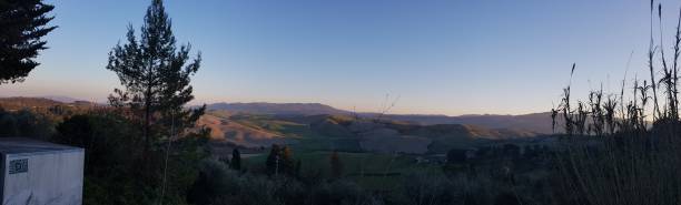 Pini e cipressi sul crinale delle colline pisane