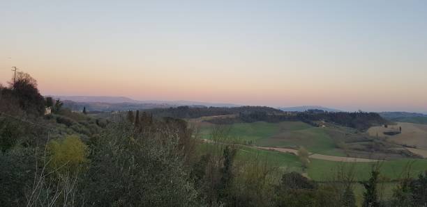 Boschi e colline al tramonto vicino a Terricciola