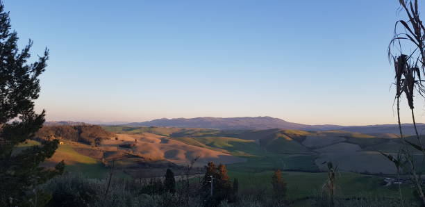 Colline al tramonto nella campagna di Terricciola