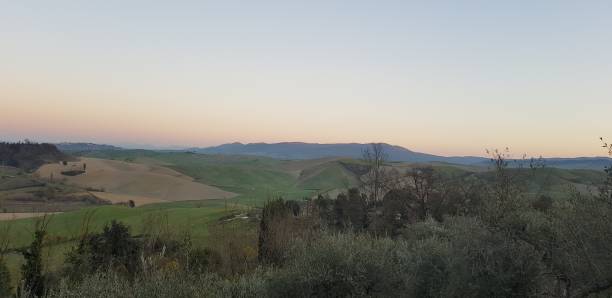 Vigneti e colline al tramonto nella campagna di Terricciola